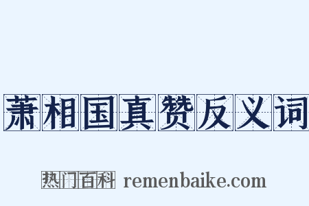 萧相国真赞反义词是什么意思的图片